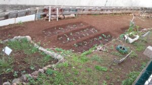 HORTA SOCIAL